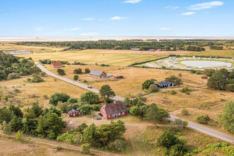 Foto von Ferienhaus LZ60 in Havneby - Rømø
