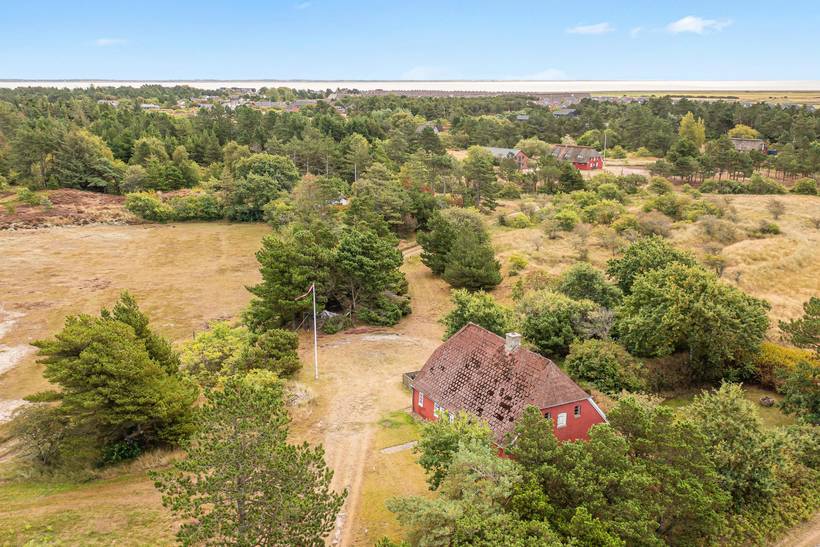 Foto von Ferienhaus LZ60 in Havneby - Rømø