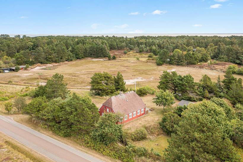 Foto von Ferienhaus LZ60 in Havneby - Rømø