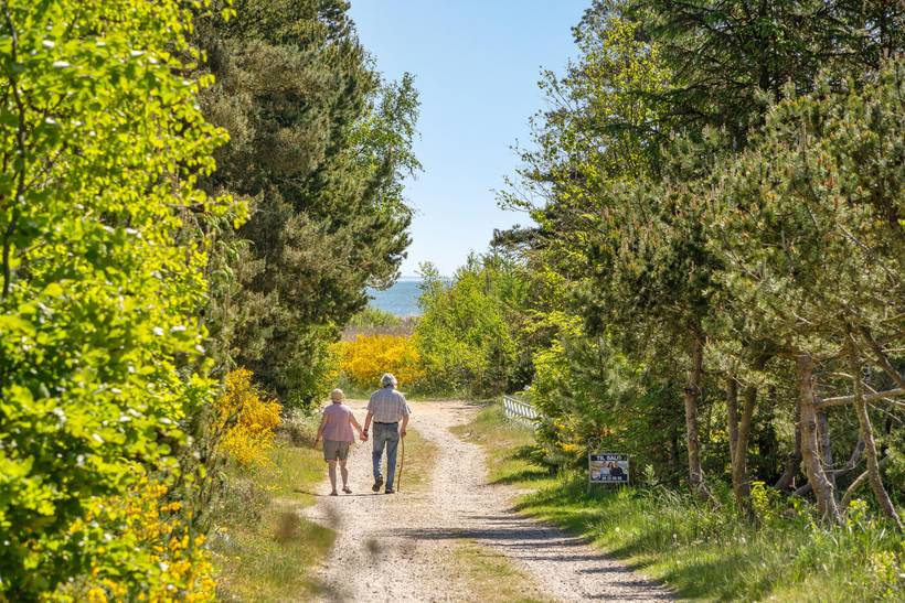 Foto von Ferienhaus LZ82 in Bisnap - Hou - Nordjütland Ost