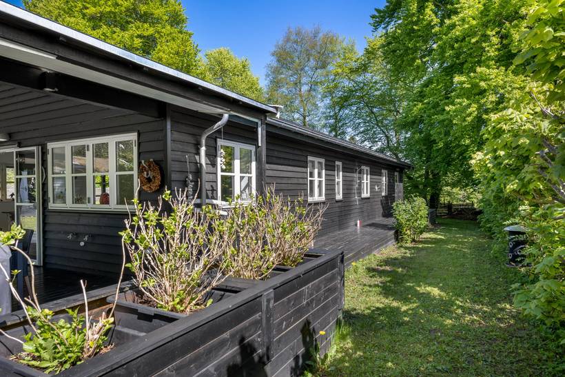Foto von Ferienhaus MA45 in Hornbæk - Nordseeland