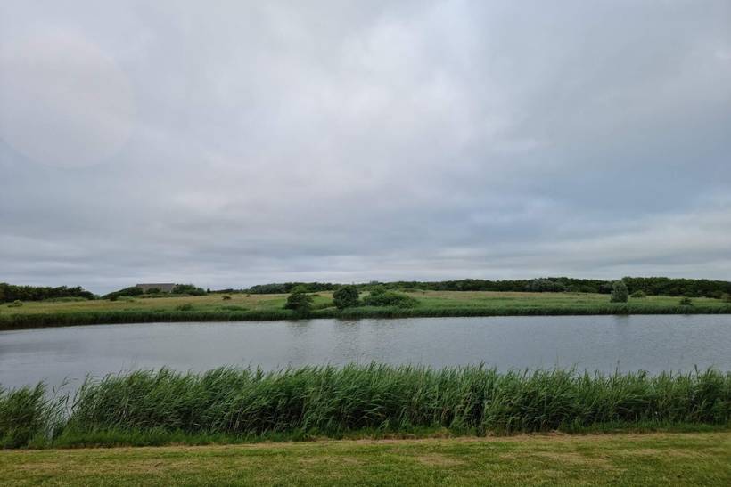 Foto von Ferienhaus MA47 in Rønbjerg - Thy/Limfjord
