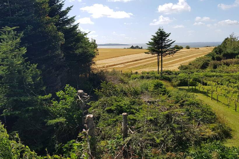 Foto von Ferienhaus MA47 in Rønbjerg - Thy/Limfjord