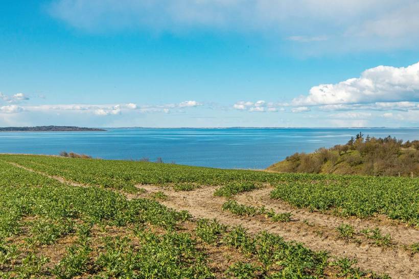 Foto von Ferienhaus MA47 in Rønbjerg - Thy/Limfjord
