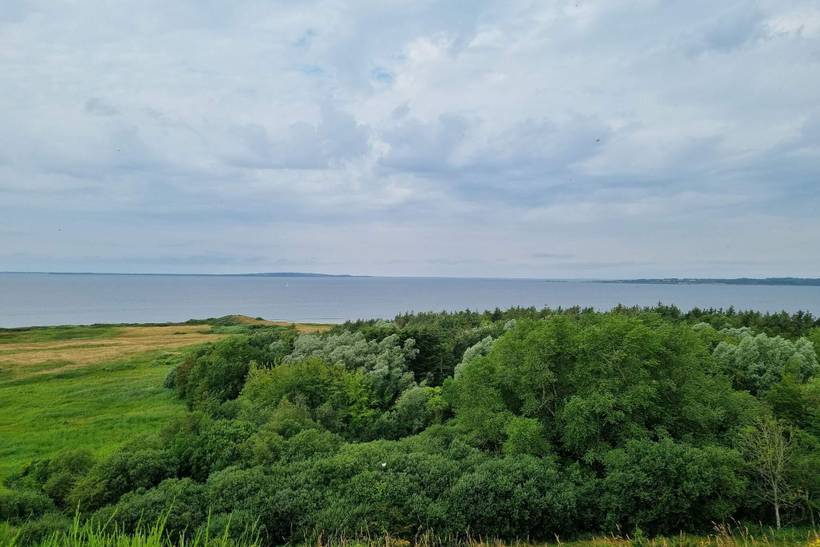 Foto von Ferienhaus MA47 in Rønbjerg - Thy/Limfjord