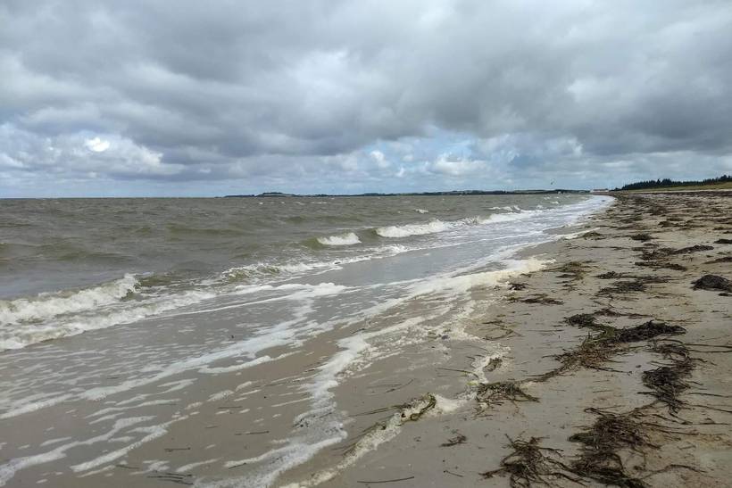 Foto von Ferienhaus MA47 in Rønbjerg - Thy/Limfjord