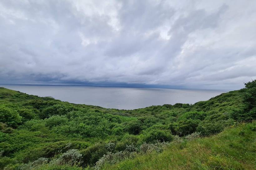 Foto von Ferienhaus MA47 in Rønbjerg - Thy/Limfjord
