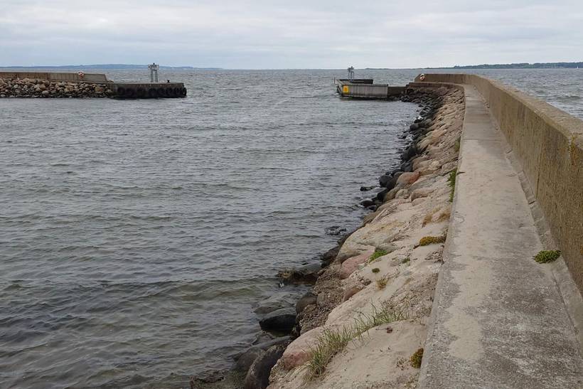 Foto von Ferienhaus MA47 in Rønbjerg - Thy/Limfjord