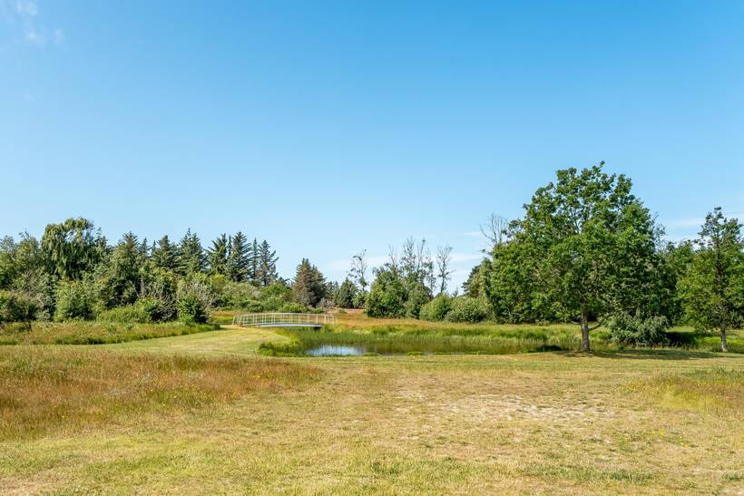 Foto von Ferienhaus MA83 in Kandestederne - Skagen - Nordjütland