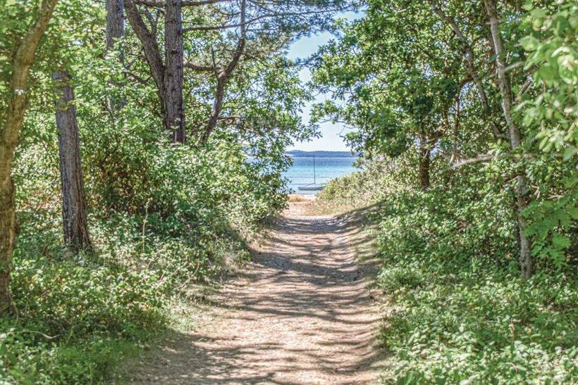 Foto von Ferienhaus MB82 in Ebeltoft - Ostjütland