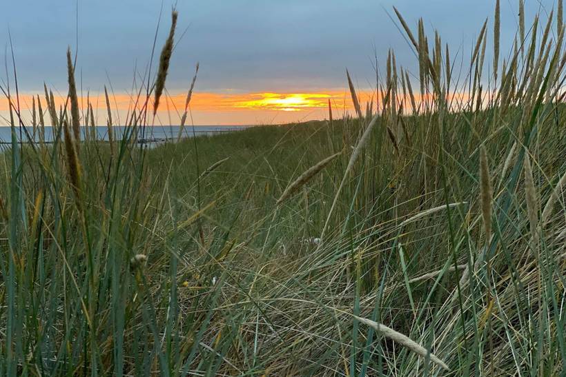 Foto von Ferienhaus MB92 in Blåvand - Westjütland