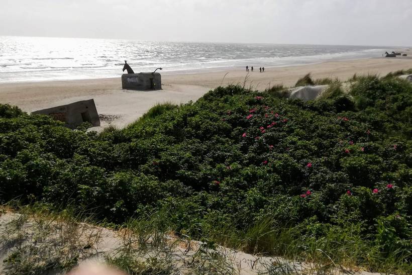 Foto von Ferienhaus MC03 in Blåvand - Westjütland