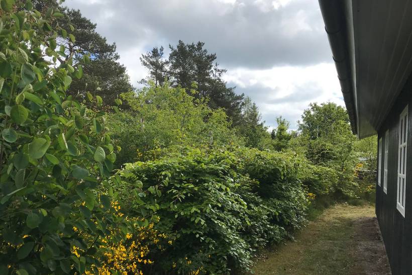 Foto von Ferienhaus MC31 in Bisnap - Hou - Nordjütland Ost