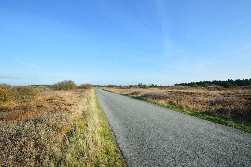 Foto von Ferienhaus MD02 in Bolilmark - Rømø