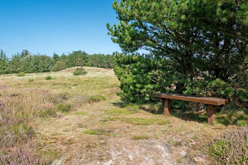 Foto von Ferienhaus MD43 in Sønderstrand - Rømø