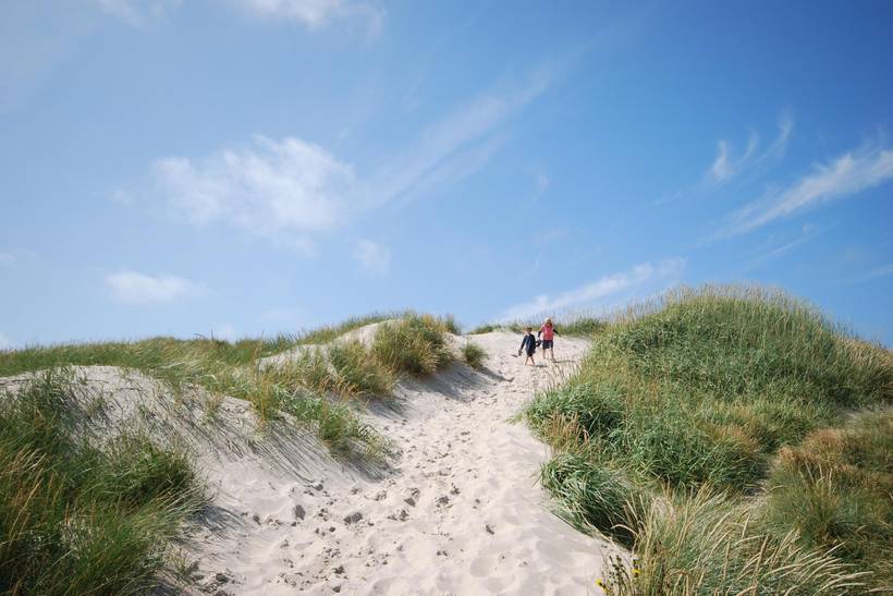 Foto von Ferienhaus MD68 in Lodbjerg Hede - Søndervig - Westjütland