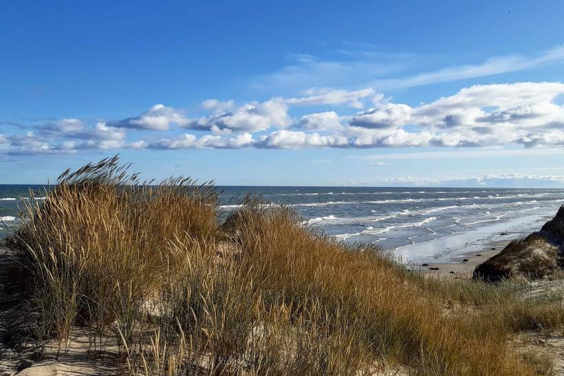 Foto von Ferienhaus MD69 in Kandestederne - Skagen - Nordjütland