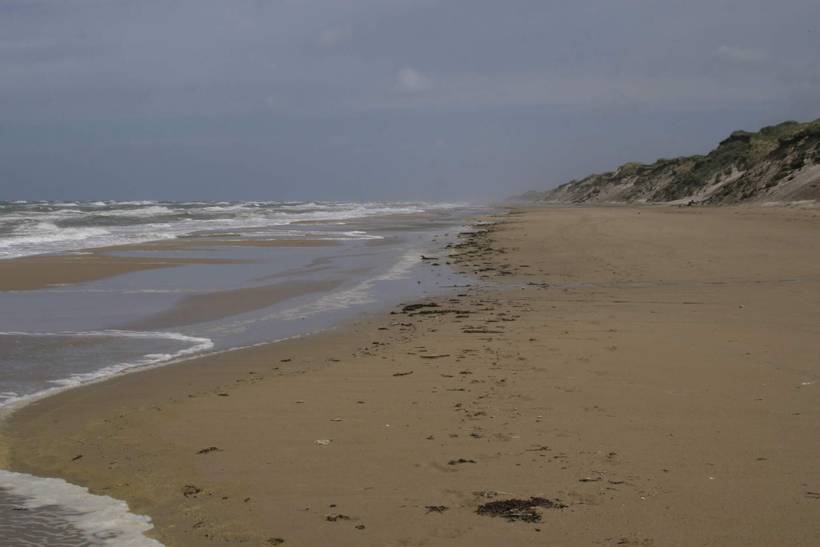 Foto von Ferienhaus MD69 in Kandestederne - Skagen - Nordjütland