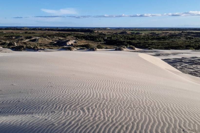 Foto von Ferienhaus MD69 in Kandestederne - Skagen - Nordjütland