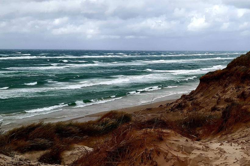 Foto von Ferienhaus MD69 in Kandestederne - Skagen - Nordjütland