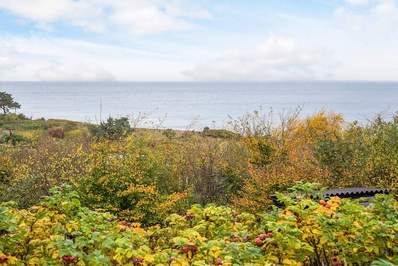 Foto von Ferienhaus MF03 in Sejerø Bugt - Westseeland