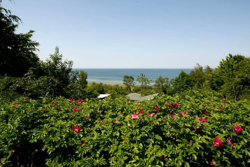 Foto von Ferienhaus MF03 in Sejerø Bugt - Westseeland