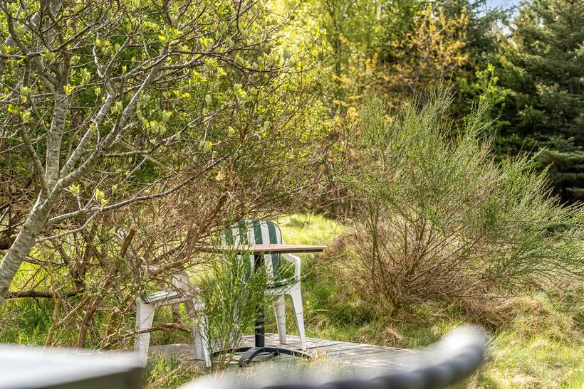 Foto von Ferienhaus MF13 in Blokhus - Nordjütland