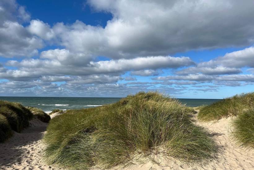 Foto von Ferienhaus MF26 in Klitmøller - Thy/Limfjord