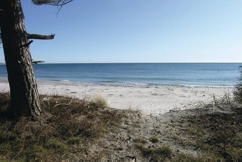 Foto von Ferienhaus MF53 in Dueodde - Bornholm