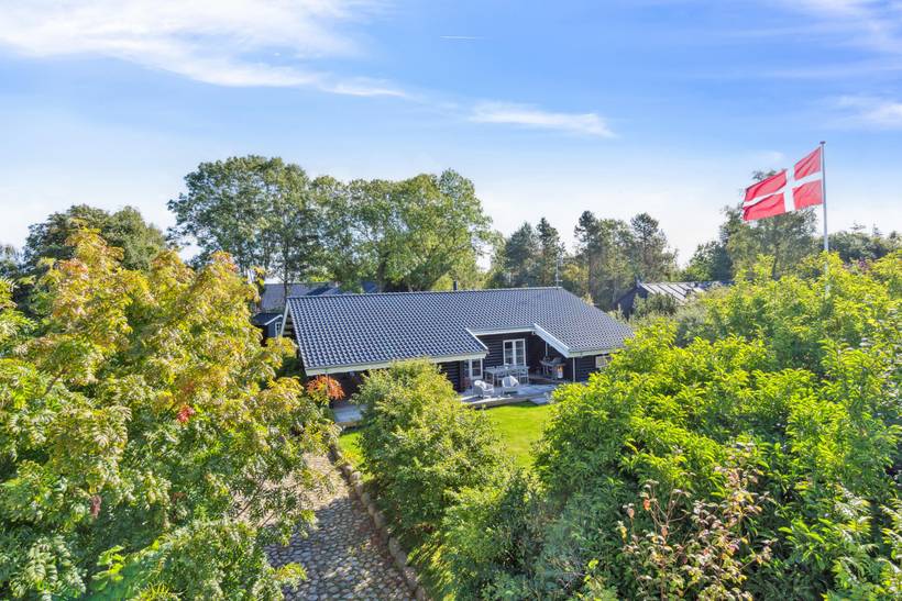 Foto von Ferienhaus MF63 in Dronningmølle - Nordseeland