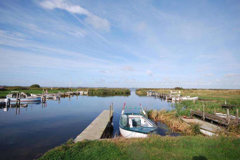Foto von Ferienhaus MF66 in Lodbjerg Hede - Søndervig - Westjütland