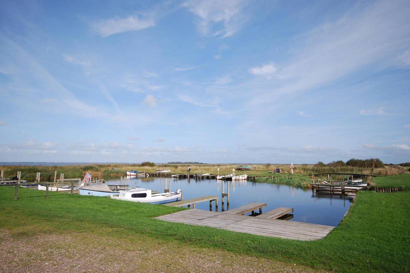 Foto von Ferienhaus MF66 in Lodbjerg Hede - Søndervig - Westjütland