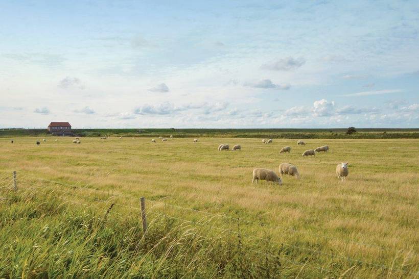 Foto von Ferienhaus MG86 in Ballum - Südjütland