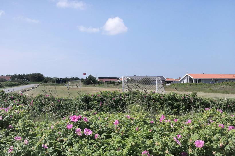 Foto von Ferienhaus MH31 in Vejlby Klit - Westjütland