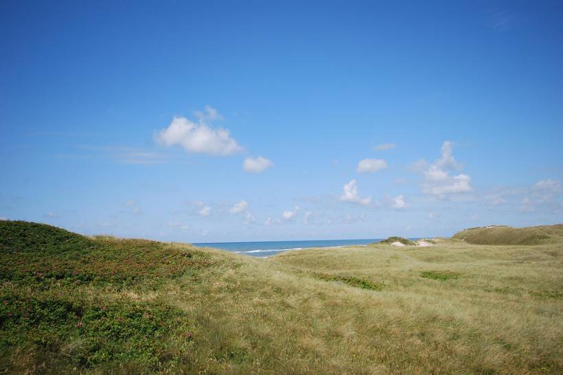 Foto von Ferienhaus MH59 in Søndervig - Westjütland
