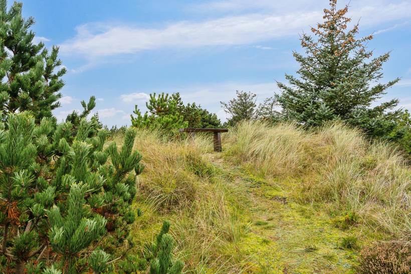 Foto von Ferienhaus MH68 in Søndervig - Westjütland