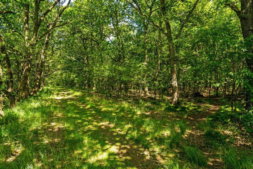 Foto von Ferienhaus MH71 in Hampen - Ostjütland