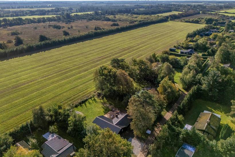 Foto von Ferienhaus MH75 in Skaven - Westjütland