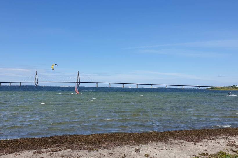 Foto von Ferienhaus MI00 in Bogø - Møn