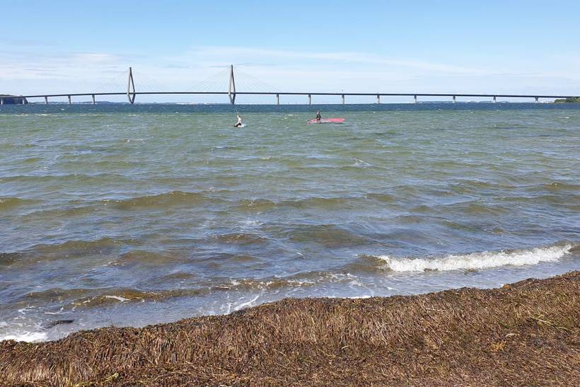 Foto von Ferienhaus MI00 in Bogø - Møn