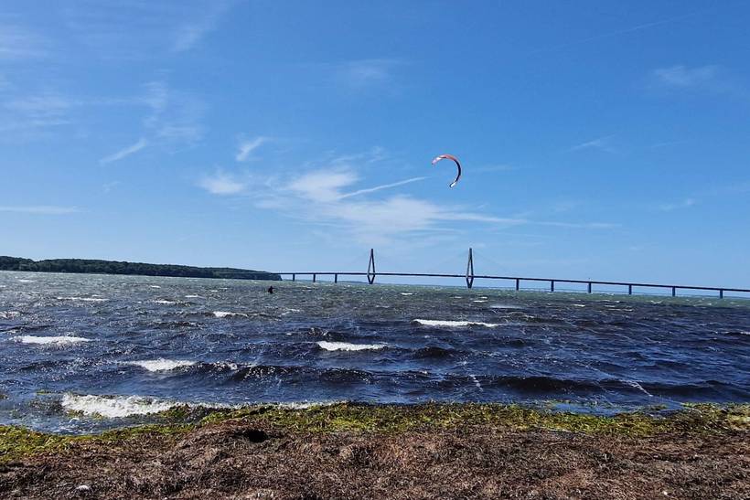 Foto von Ferienhaus MI00 in Bogø - Møn