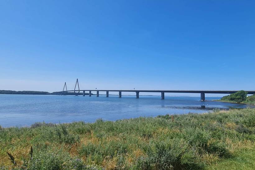 Foto von Ferienhaus MI00 in Bogø - Møn