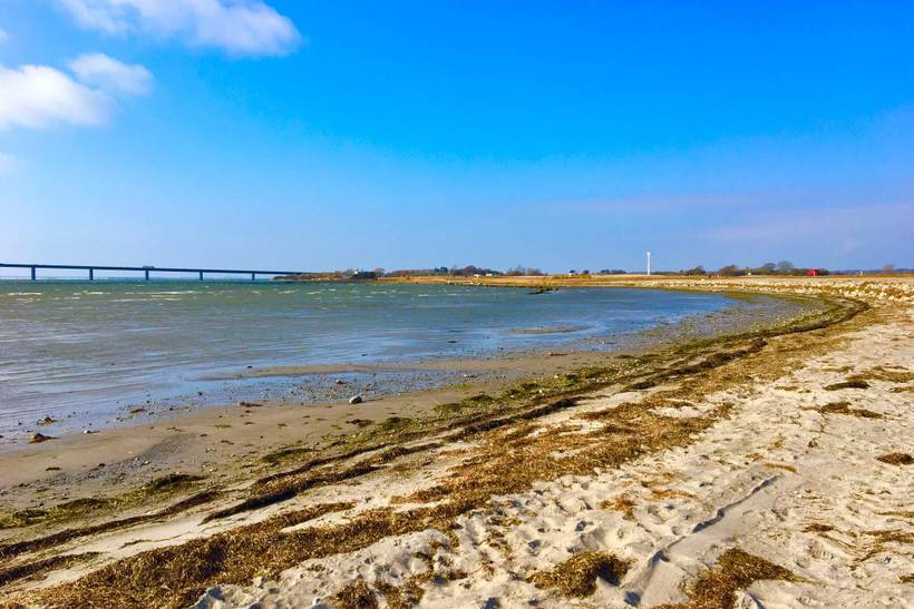 Foto von Ferienhaus MI00 in Bogø - Møn
