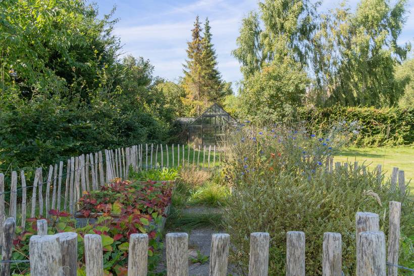 Foto von Ferienhaus MI18 in Udsholt - Rågeleje - Nordseeland