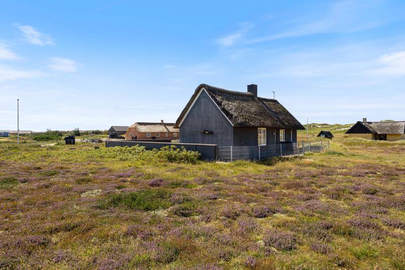 Foto von Ferienhaus MI39 in Skodbjerge - Bjerregård - Westjütland