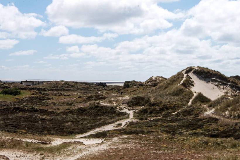 Foto von Ferienhaus MJ42 in Sønderho - Fanø