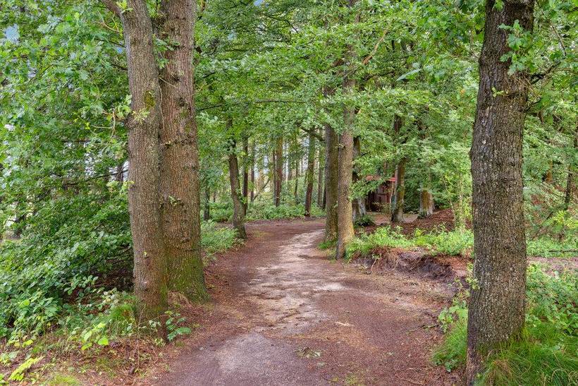 Foto von Ferienhaus MJ43 in Lyne - Westjütland