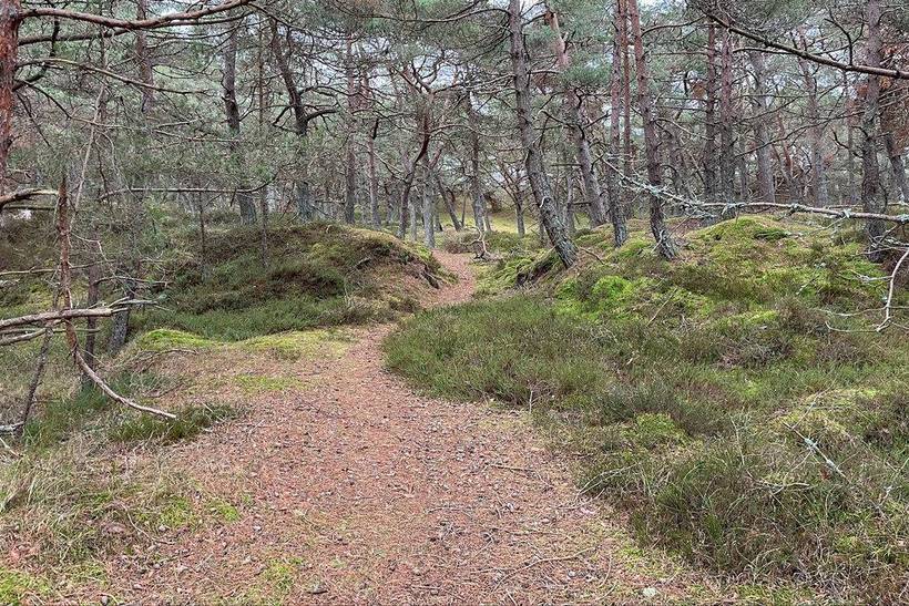 Foto von Ferienhaus MJ45 in Dueodde - Bornholm