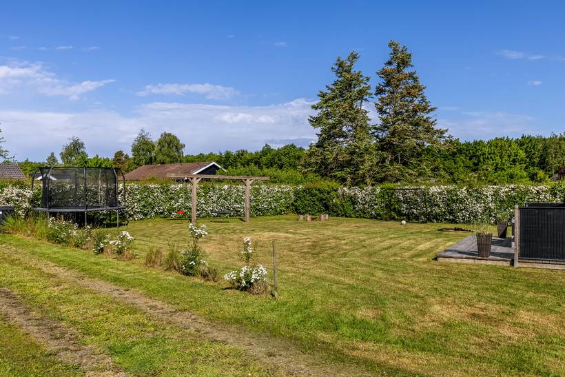 Foto von Ferienhaus MJ53 in Skovmose - Als