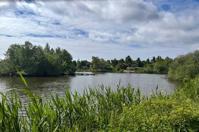 Foto von Ferienhaus MK22 in Ebeltoft - Ostjütland